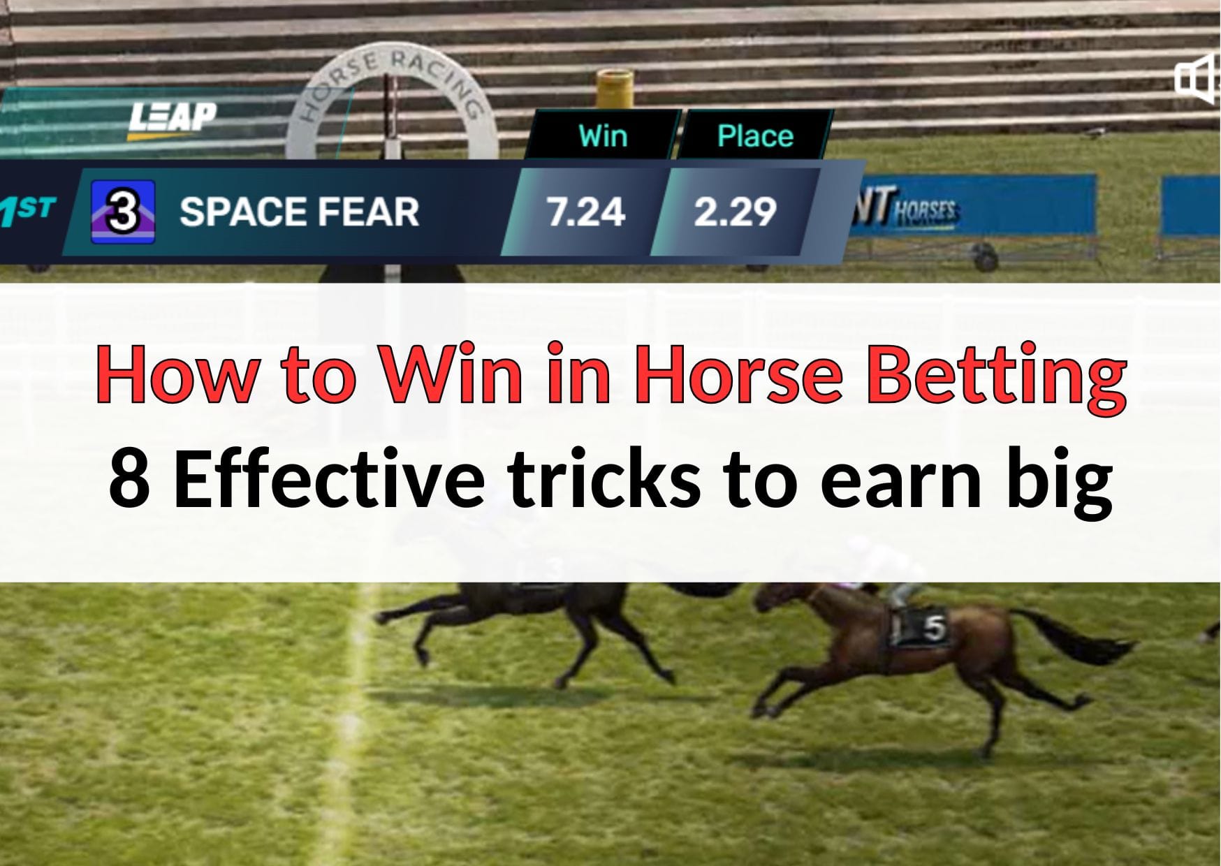 จะชนะพนันม้าได้ยังไง